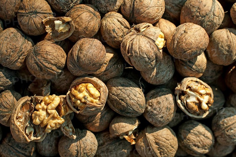 Walnuts in shell. Some of them broken