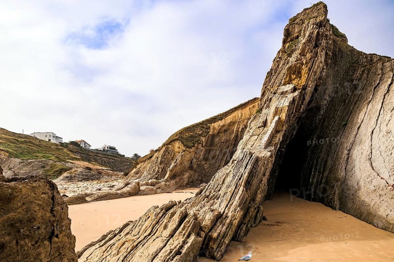 Adorable sea gull. Incredible rock formations, stones and boulders. Cantabria, Spain. The Playa de la Arnia beach. Picturesque coastal cliffs. Amazing geological formations amaze tourists