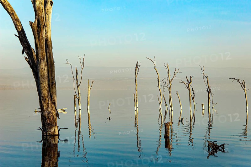 Lake Nakuru National Park. Central Kenya in East Africa. Journey to the exotic country of Kenya. East African Rift Valley. Sunrise