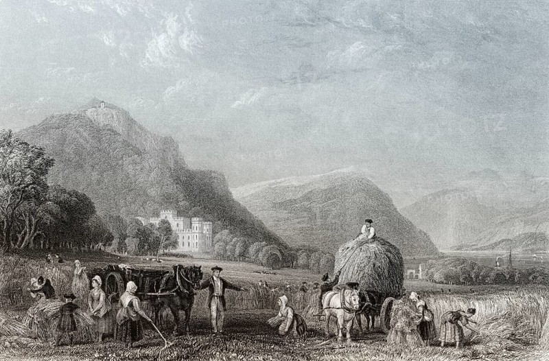 Grain harvest, Inveraray Castle, a country house near Inveraray, county of Argyll, Scotland, United Kingdom, Europe