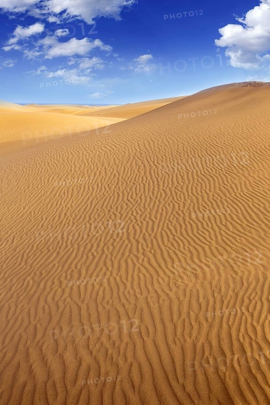 Desert sand dunes in Maspalomas Oasis Gran Canaria at Canary islands