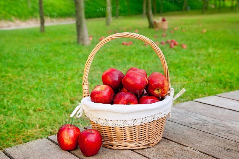 Basket of red apples on wood floor with green field background