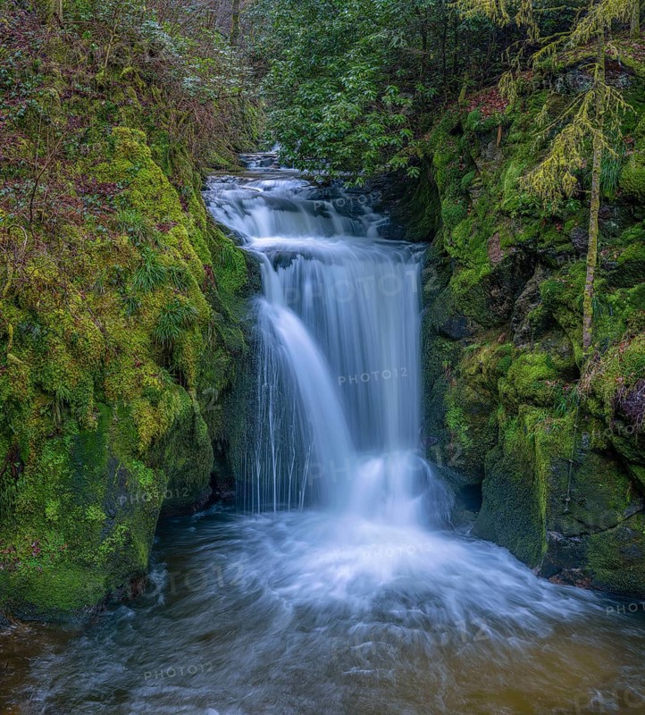 Geroldsau waterfall of the Grobbach stream south of the Geroldsau district of Baden-Baden in the northern Black Forest, Baden-Baden, Baden-Württemberg, Germany, Europe