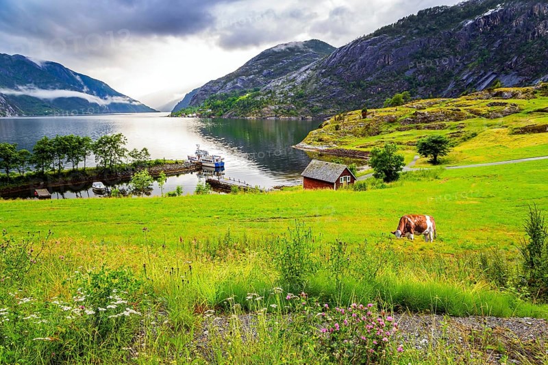 The smooth water of the Acre Fjord. Rainy cold July in Norway. Majestic natural phenomenon