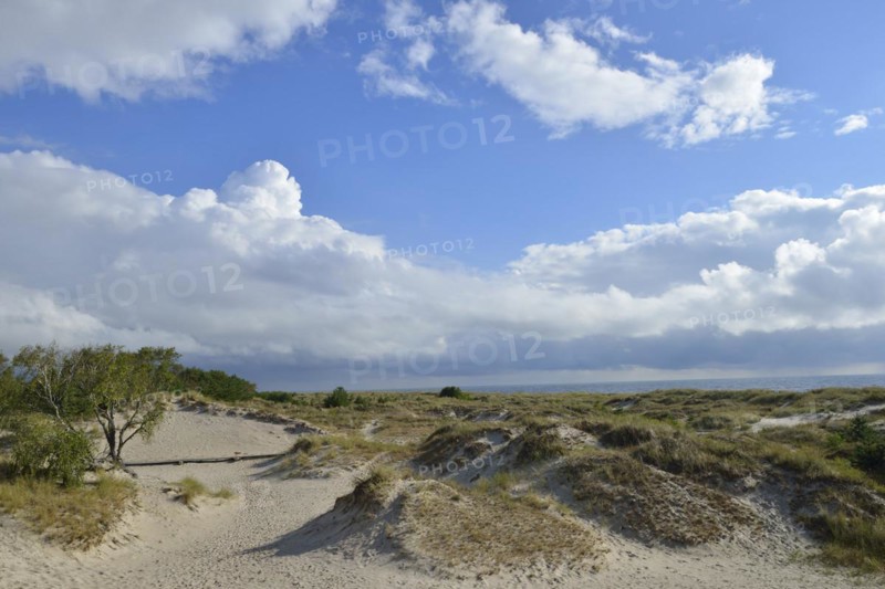 Sandhammaren is a Swedish coastal strip on the Baltic Sea. It is the southeasternmost point of the Swedish Baltic Sea coast. Sandhammaren nature reserve. Sandhammaren is a Swedish coastline of the Baltic Sea. He is the most south-eastern point of the Swedish coast.nature reserve Sandhammaren