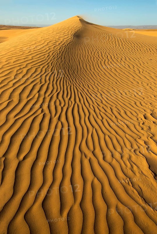 Sand blowing over sand dunes in wind, Sahara desert