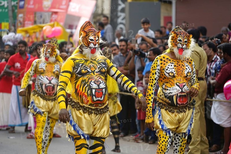 Pulikali Tiger Dance procession, Onam festival, Thrissur, Kerala, India, Asia