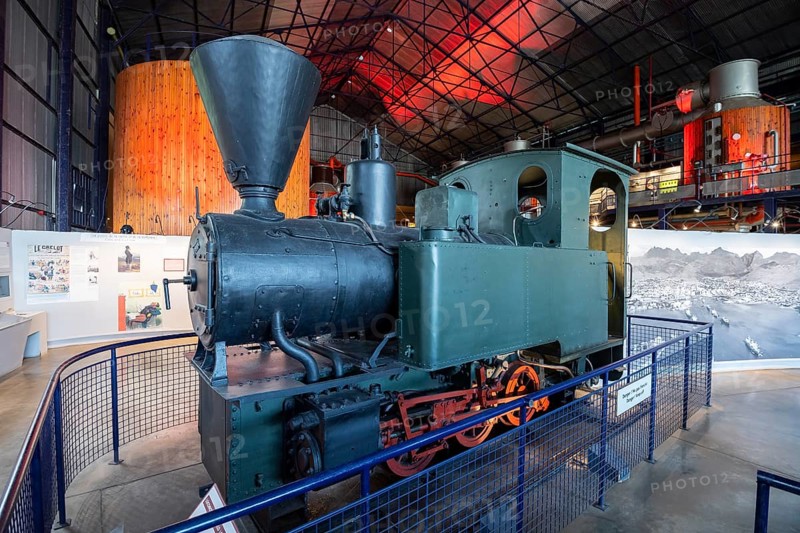 Anitke steam locomotive, 1925, Orenstein and paddock, Berlin, Zuckermusem, L'Aventure du Sucre, Pamplemousses, Indian Ocean, island, Mauritius, Africa
