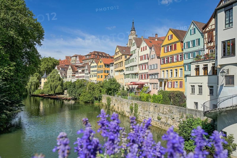 Neckar, Flowers at the Eberhardsbrücke, Old buildings, Neckar front, Old Town, Tübingen, Baden-Württemberg, Germany, Europe
