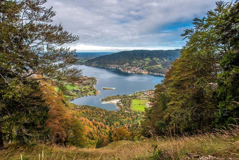 Scenic forest near lake Schliersee in Bavaria, Germany, Europe