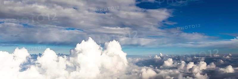 Abstract nature background