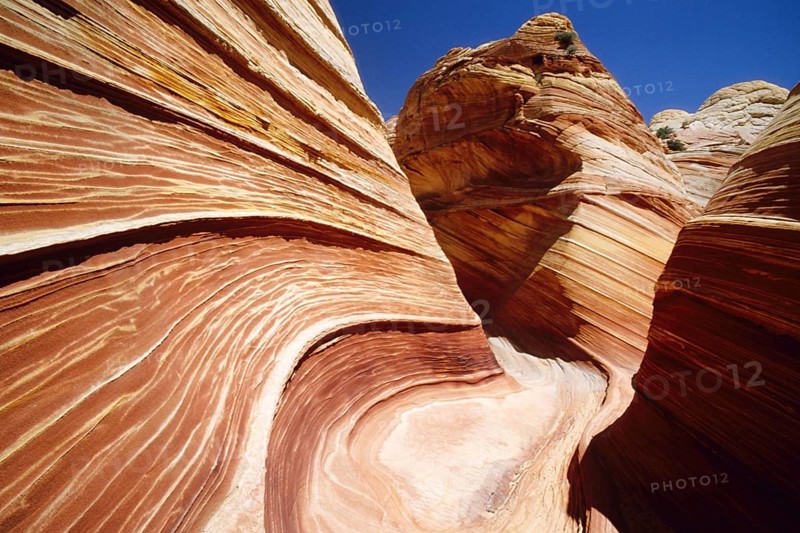 Sculpted sandstone cliffs of the Paria Wilderness, The Wave, Arizona, USA, Arizona, USA, North America