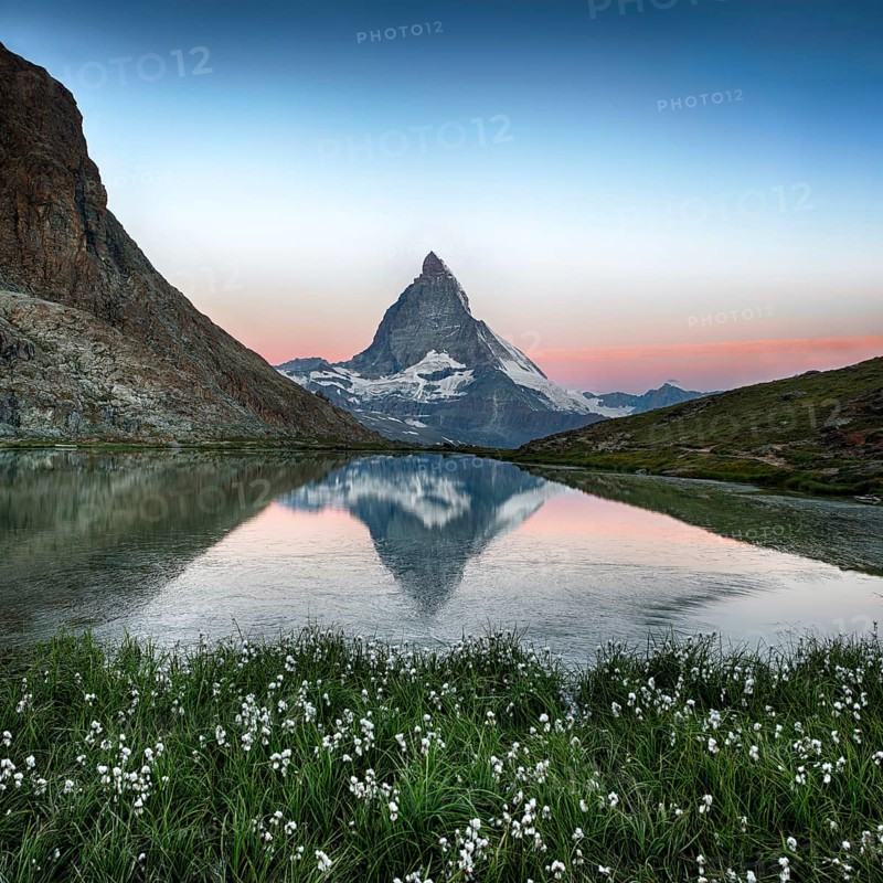 Matterhorn reflection in Riffelsee with flowers, Zermatt, Alps, Switzerland, Europe