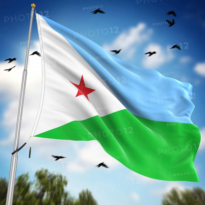 Flag of Djibouti, This is a computer generated and 3d rendered image