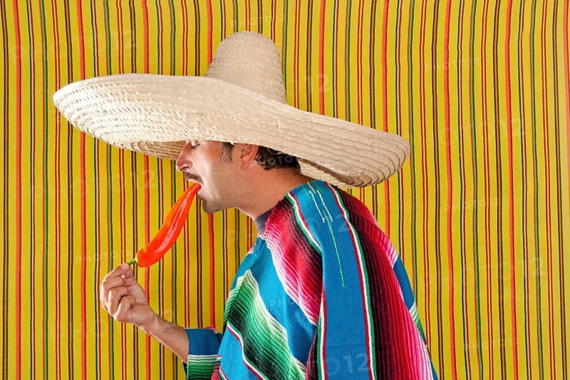 Mexican typical man eating chili hot pepper with poncho on yellow background