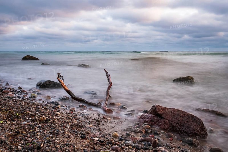 Driftwood on the coast of the Baltic Sea near Warnemünde