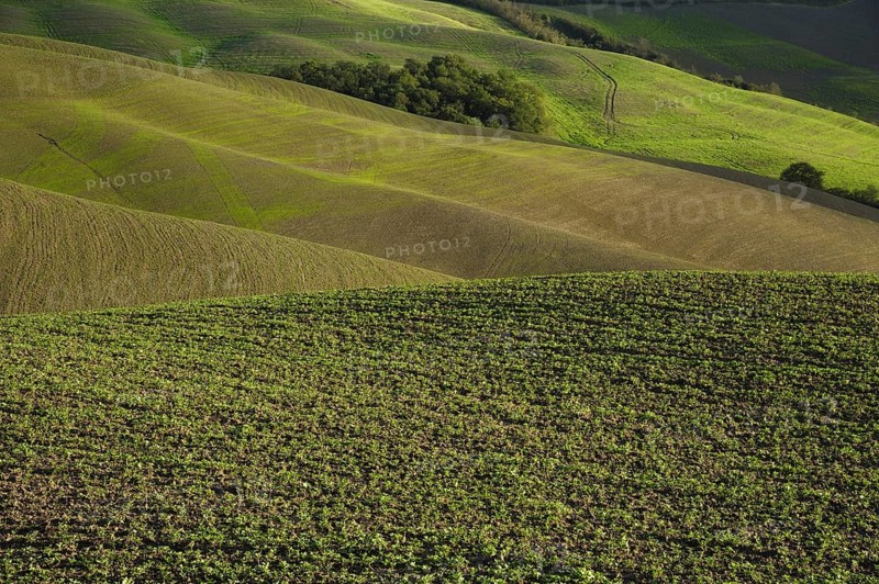 A beautiful tuscan landscape with autumnal colours