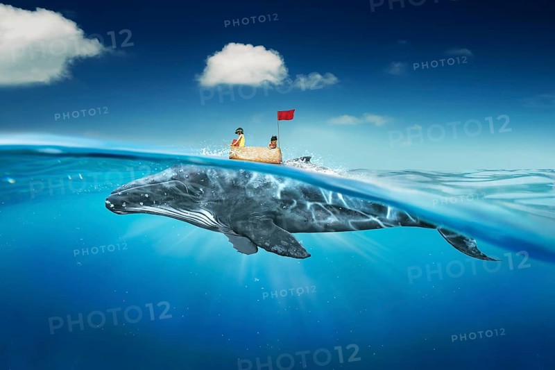 Sisters sea travel in the sea with cardboard ship and whale . Abstract dreams travel and success concept