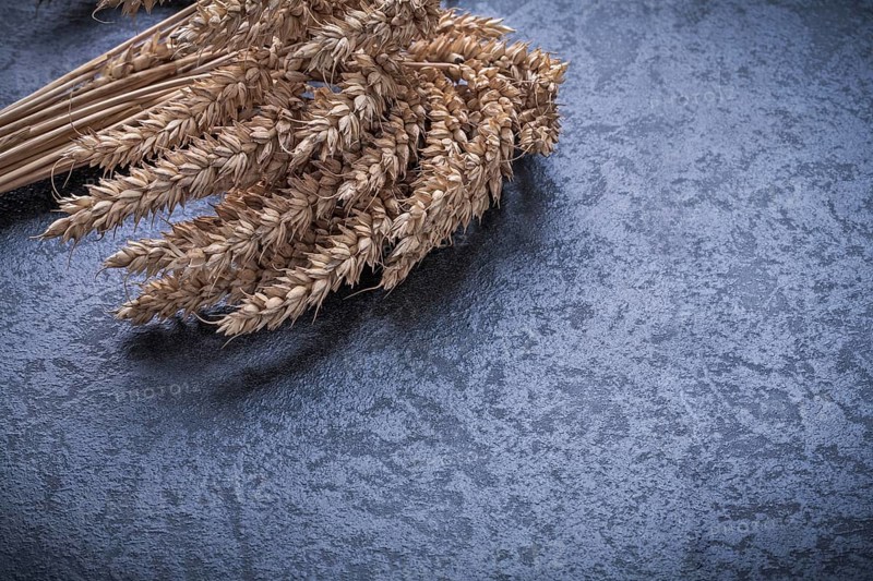 Ripe wheat and rye ears food and drink concept