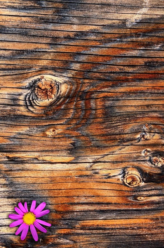Textured Plywood with Purple flower