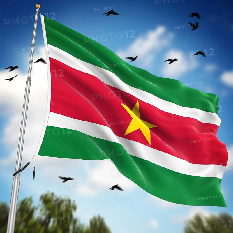 Flag of Suriname, This is a computer generated and 3d rendered image