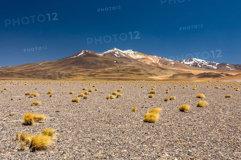 Atacama Desert, Chile. Salar Aguas Calientes. Lake Tuyacto. South America