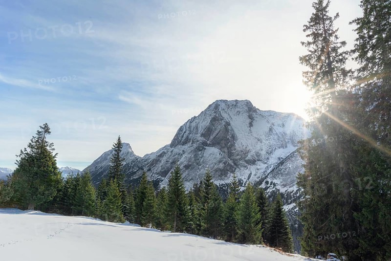 Winter scenery with the sun shining over the snowy Austrian Alps, the green forest and white valley, in Ehrwald, Austria, in December, Europe