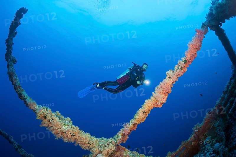 Diver at Numidia Wreck, Brother Islands, Red Sea, Egypt | Scuba Diver at Numidia Wreck, Red Sea, Egypt, Africa
