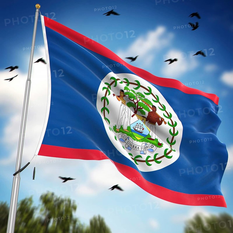 Flag of Belize, This is a computer generated and 3d rendered image