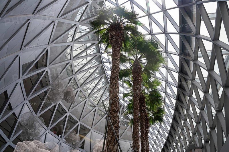 31.07.2023, Singapore, Republic of Singapore, Asia, Interior view of the modern Jewel Terminal with palm trees at Singapore Changi Airport. Jewel Changi is a nature-themed entertainment and retail complex surrounded by and connected to Changi Airport's T1, T2 and T3 passenger terminals, Asia