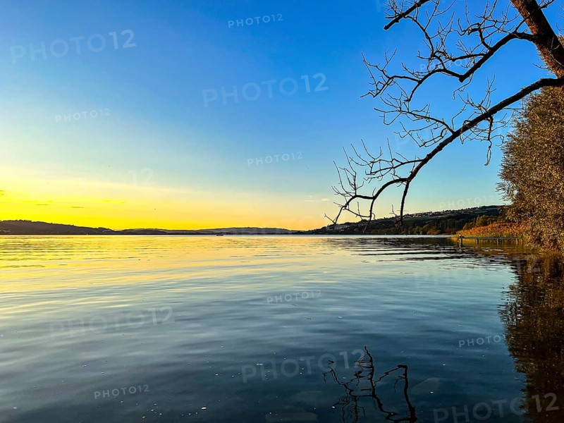 Calm lake at sunset with bare branches in the foreground and a wide horizon, Sempach, Lucerne, Switzerland, Europe