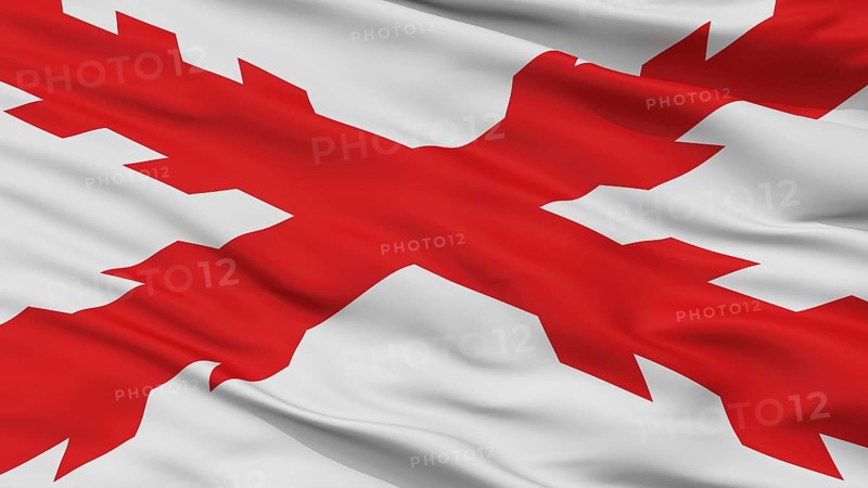 Cross Of Burgundy Flag, Closeup View