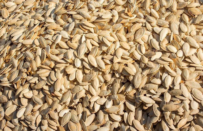 Pumpkin seeds. Background of pumpkin seeds. A lot of seeds
