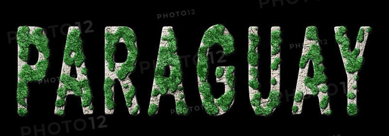 Paraguay Reforestation and Climate Message, Sustainable Green Typography, Green Agenda