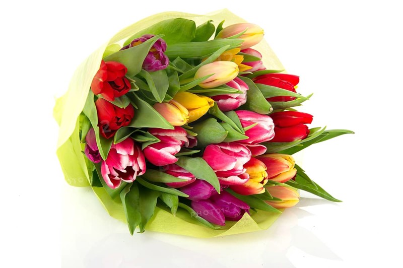 Wrapped colorful bouquet tulips on white background