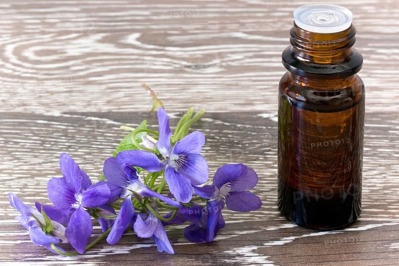 Dropper bottle with Bach flower essence on wooden background with blossoms Dropper bottle of bach flower essence on wooden background with blossoms