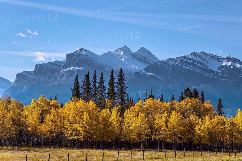 The first snow has already fallen on the peaks. The yellow foliage of birches and aspens is mixed with green conifers. Great Canadian Rockies. Scenic shores of Abraham Lake