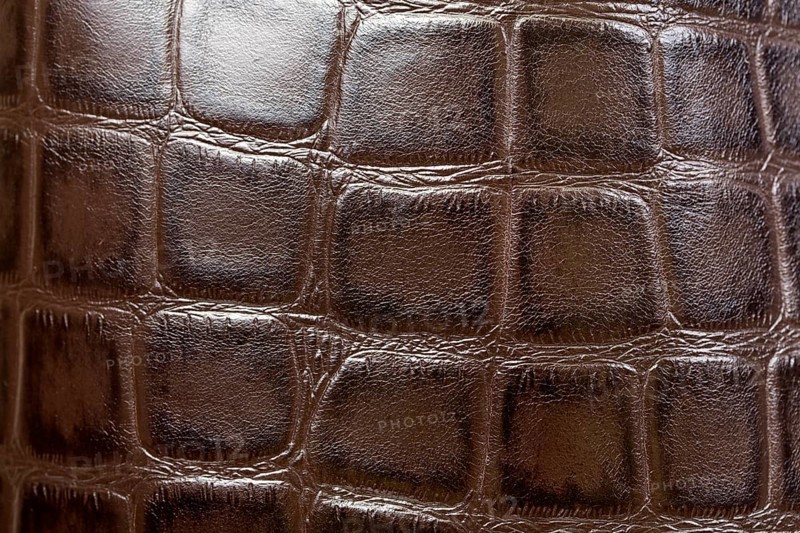 Crocodile or alligator skins brown background