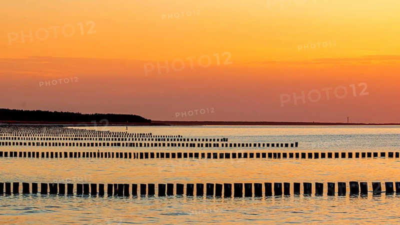 Zingst