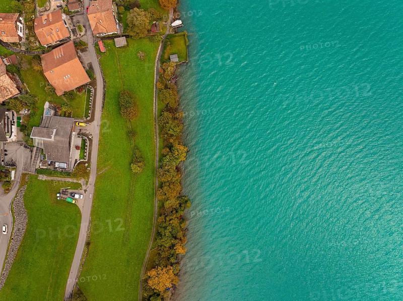 Aerial view of a lakeshore with green water, village and buildings along, Lake Brienz. Switzerland