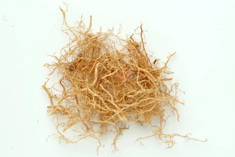 Vetiver, Chrysopogon zizanioides, Andropogon squarrosus, Andropogon muricatus, a sweet grass, is used as incense and as a fixative in perfumery. In naturopathy, vetiver is used for skin problems and nervous tension