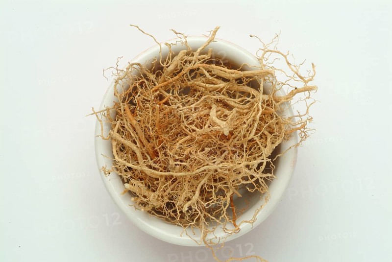Vetiver, Chrysopogon zizanioides, Andropogon squarrosus, Andropogon muricatus, a sweet grass, is used as incense and as a fixative in perfumery. In naturopathy, vetiver is used for skin problems and nervous tension