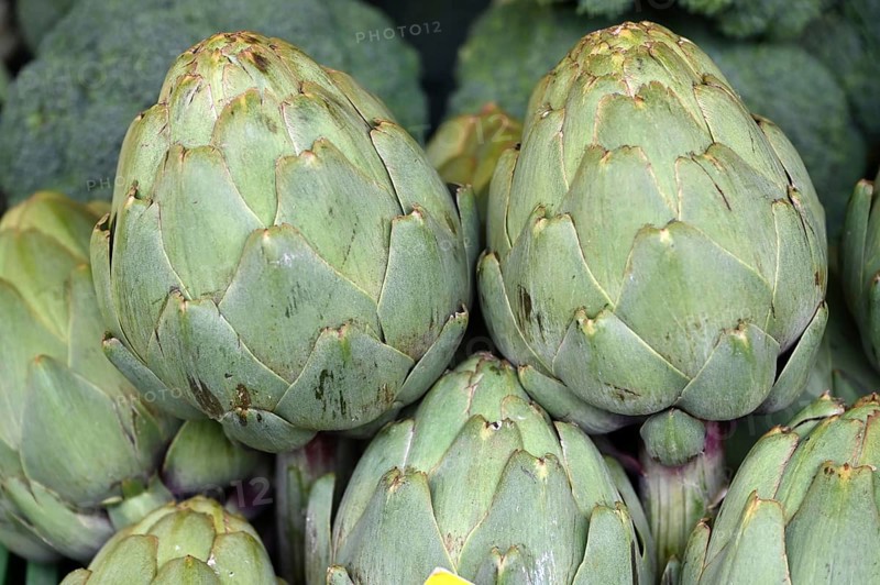 Artichokes (Cynara cardunculus var. scolymus) at a vegetable stand, Bavaria, Germany, Europe