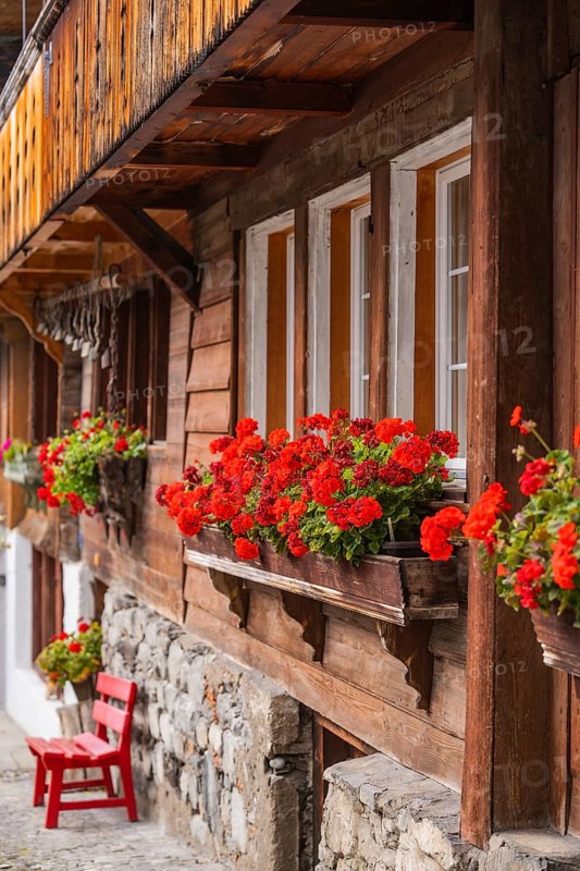 Wooden house with red geraniums in flower boxes in front of the windows, Lake Brienz, Brienz, Switzerland, Europe
