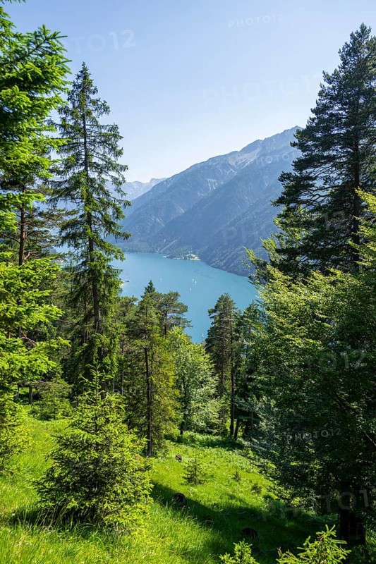 Forest and Lake Aachensee, Brandenberg Alps, Tyrol, Austria, Europe