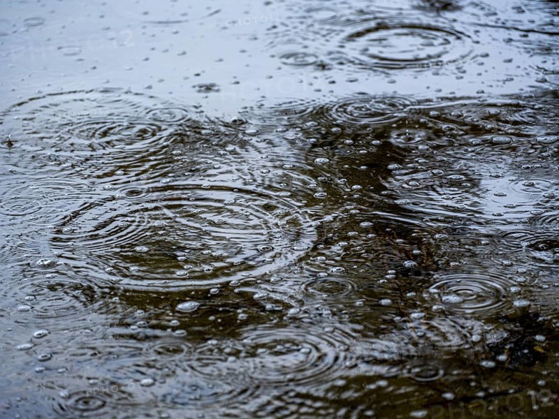 Raindrops circle in the water on the shore of the Schaalsee, Zarrentin am Schaalsee, Mecklenburg-Vorpommern, Germany, Europe