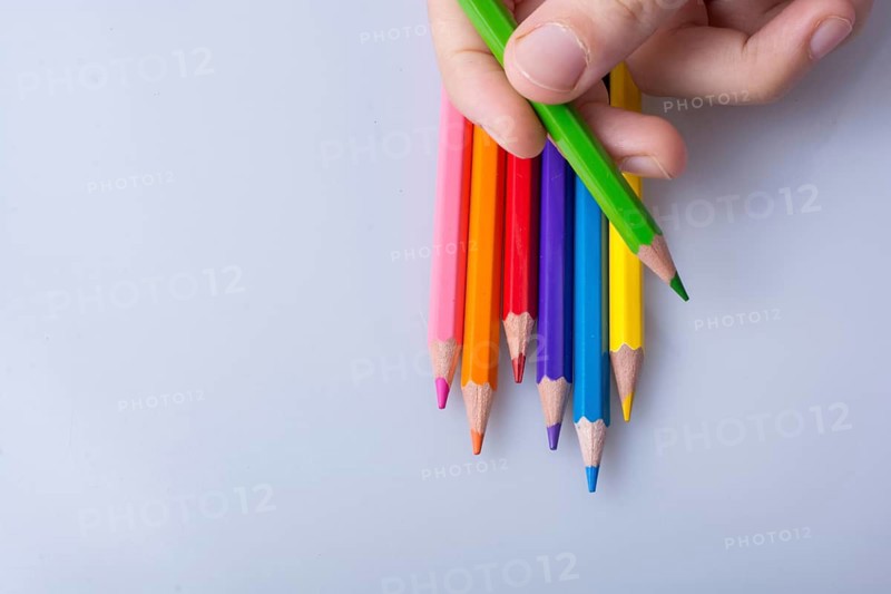 Hand holding color Pencils placed on a white background