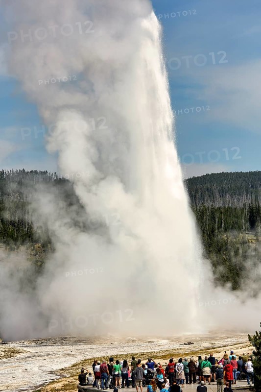Tourists looking at the Old Faithful Geyser. Yellowstone National Park. Wyoming. USA