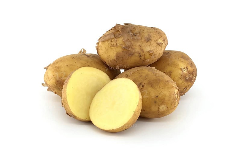 Early season potatoes with a light brown skin isolated on a white background, one potato bisected displaying its yellow interior