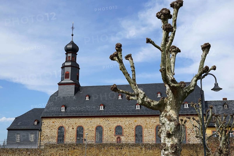 Marienkirche Rockenberg, former monastery church of Marienschloss monastery, today Rockenberg correctional facility of the state of Hesse for the execution of juvenile sentences and pre-trial detention of juvenile males, Wetterau, Hesse, Germany, Europe